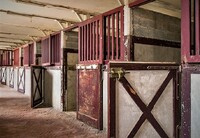 Také o andaluského koně a jeho přežití se v průběhu staletí zasloužily mnišské řády, především kartuziáni. Tento polopoustevnický řád založený roku 1084 svatým Brunem a pojmenovaný podle pohoří La Chartreuse (severně od Grenoblu, kde sídlí mateřský klášter Grande Chartreuse) se snažil zachovat čistou chovnou linii, proto jejich andalusští koně byli nejvíce žádáni. Zdroj: Pixabay