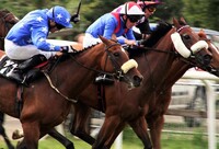 Kentucké město Louisville se proslavilo dostihy. Nachází se tu závodiště Churchill Downs, na němž se každoročně první květnovou sobotu koná věhlasné Kentucky Derby a další významné dostihy tříletých "Thoroughbreads" neboli anglických plnokrevníků. Tyto dostihy jsou vyvrcholením 14 dní trvajícího Kentucky Derby Festival. Zdroj: Pixabay