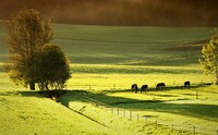 Kentucky bylo původně územím řady indiánských kmenů - Kríků, Čikasavů, Čerokiů, Šavanů a Irokézů. První evropští průzkumníci sem dorazili ve druhé polovině 17. století. Samostatným a patnáctým státem USA se Kentucky stalo 1. června 1792. Zdroj: Pixabay