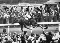 Phar Lap vítězí v Melbourne Cup v roce 1930. Zdroj: Wikipedie