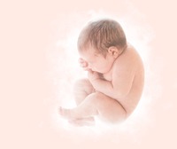 Už v matčině lůně je vyvíjející se dítě schopno mnohé vnímat, pamatovat si a určité prvky přicházející z vnějšího světa "za matčinou břišní stěnou" si vštěpovat. Zdroj: Samphotostock