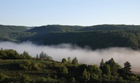 Ranní mlhy válející se v údolí Berounky, Křivoklátsko. Zdroj: foto autor