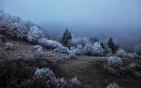 Jihovýchodní stráň někdejšího keltského oppida. Zdroj: foto autor