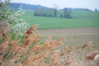 Obrazy, které tu byly celá staletí před námi. Nechť tu jsou i po nás. Zdroj: foto autor