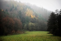 Divoká a hůře přístupná krajina Křivoklátska se většímu rozmachu zemědělství vždy bránila. Zdroj: foto autor