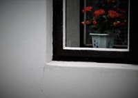 Rozkvetlý život a nové naděje za oknem stavení, kterým prošly bezpočty lidských osudů. Zdroj: foto autor