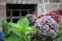 Migrující Keltové z Británie tu našli nový domov. Zdroj: foto autor