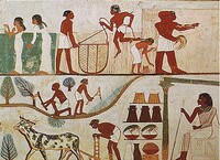 Egypťané byli ve své době vynikajícími zemědělci. Zdroj: Wikipedie