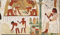 Stejně tak byli Egypťané úctyhodnými lékaři a zvěrolékaři. Zdroj: Wikipedie
