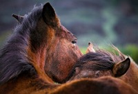 Zdroj: Samphotostock