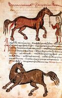 Hippiatrica neboli Corpus hippiatricorum Graecorum. Zdroj: Wikipedie
