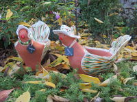 Le jardin du mille pattes