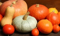 Les courges de Tangy