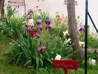 le jardin de l'ubac