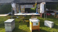 AMAPI 04 : la passion des abeilles