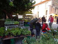 Les jardins sereins