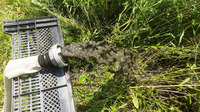 Schmutzwasser wird weggepumpt