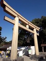 Torii a Meiji jinguben