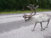 En flot fyr, men han står i vejen.