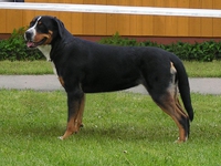Dora Karantanska