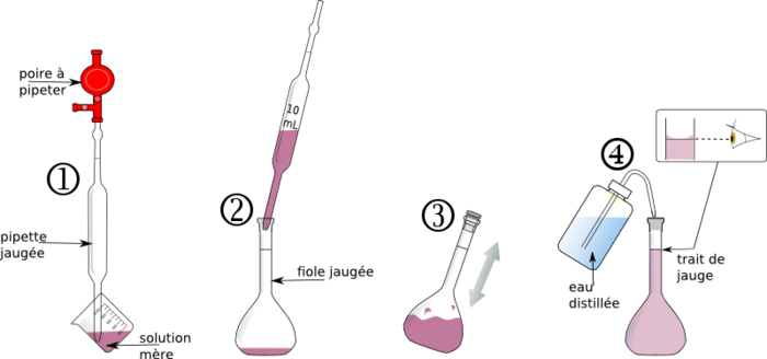 Protocole De La Dilution easy-study6.webnode.fr