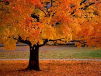 Oktober