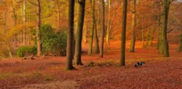 November
