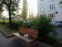 Také z Ústeckého kraje, Ústí n. L. Foto jinak ilustrační, vlastní.
