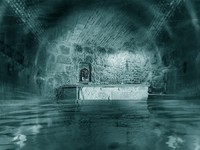 Flooded cellar (2013)