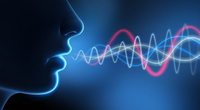 Soluzioni Domotiche - Voice Command