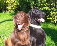 Berny a Enzo