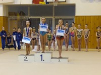 LEDOVÁ VLOČKA / Tábor 26.01.2020