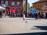 Foto: Knut Werner Lindeberg Alsén