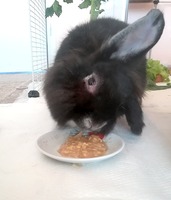 Mina schmeckt´s 😊