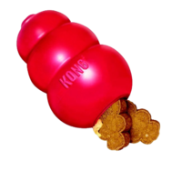 Kong