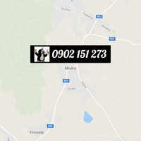 Krtkovanie Modra
