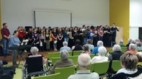 uživatelé sledující vystoupení souboru Mendík