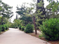 Pedio Areos Park