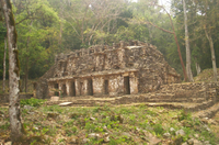 Yaxchilan (c) Tom Distler