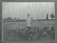 Tharston tower mill in background