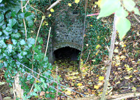 Overgrown entrance to the lime kiln