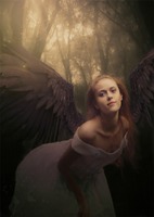 ¿Podrá nuestra angelical protagonista devolver al príncipe rana su apuesto aspecto?