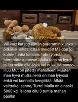 17/11