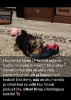19/11