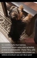 Sunnuntai 21.11.2021