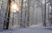 Keskiviikko 24.11.2021
