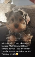 Torstai 25.11.2021