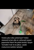 Perjantai 26.11.2021