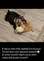 Tiistai 30.11