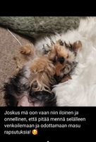 Torstai 02.12